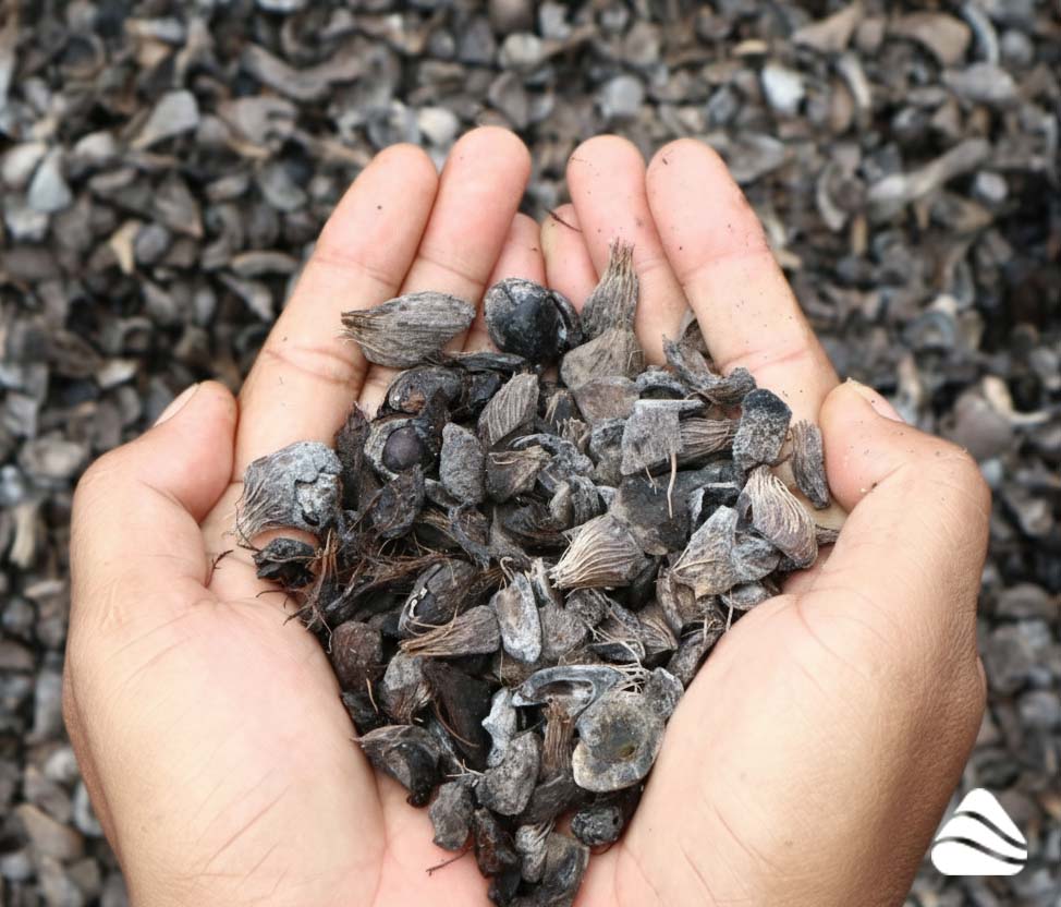 Palm Kernel Shell