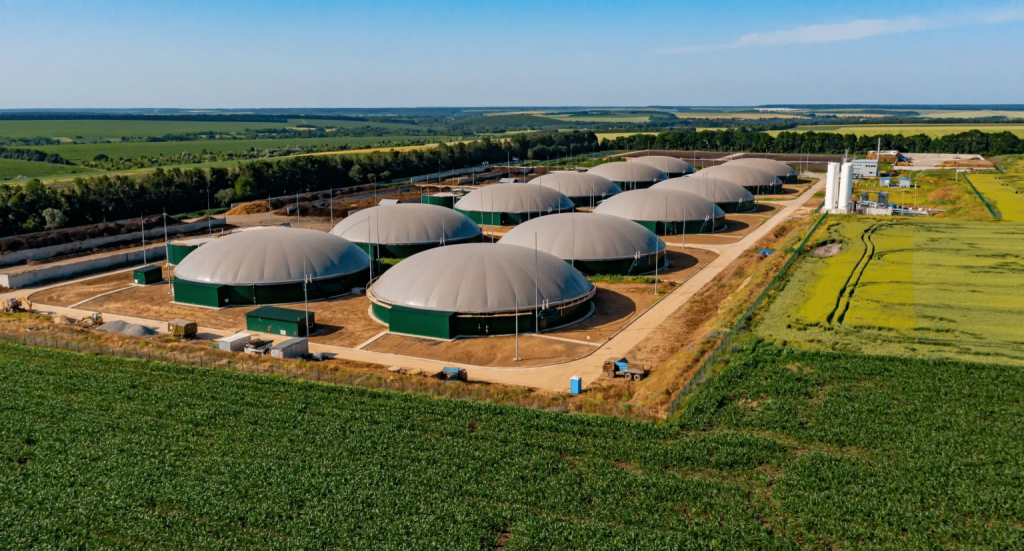 biomass industry